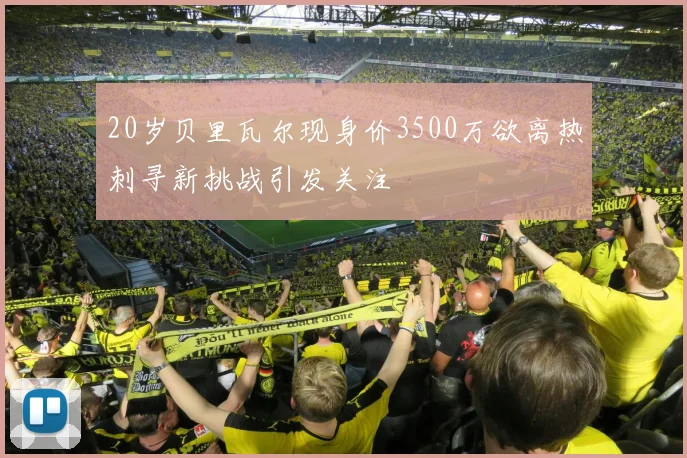 20岁贝里瓦尔现身价3500万欲离热刺寻新挑战引发关注